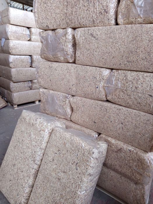 Обезпрашен талаш - бали