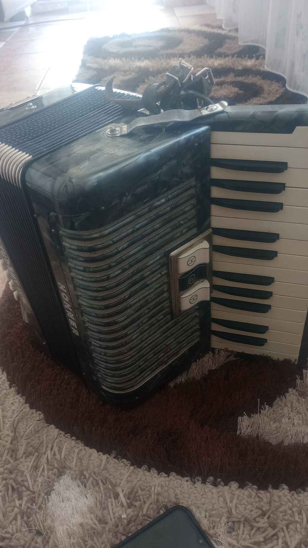 Acordeon hohner studenții