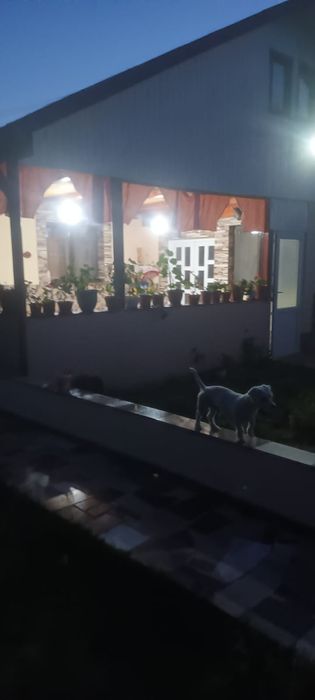 Casa   la tara 20  km de Focsani