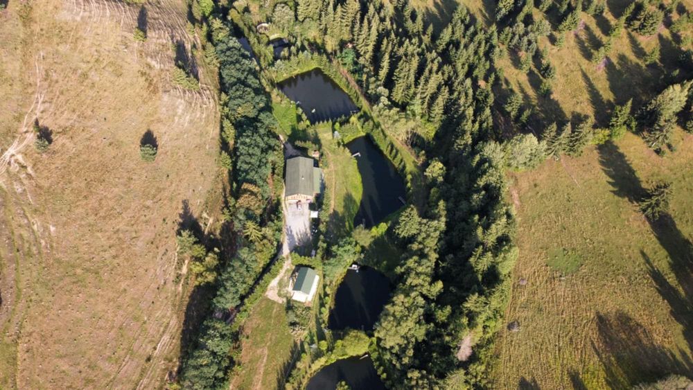 Pensiune, pastravarie, afacere la cheie