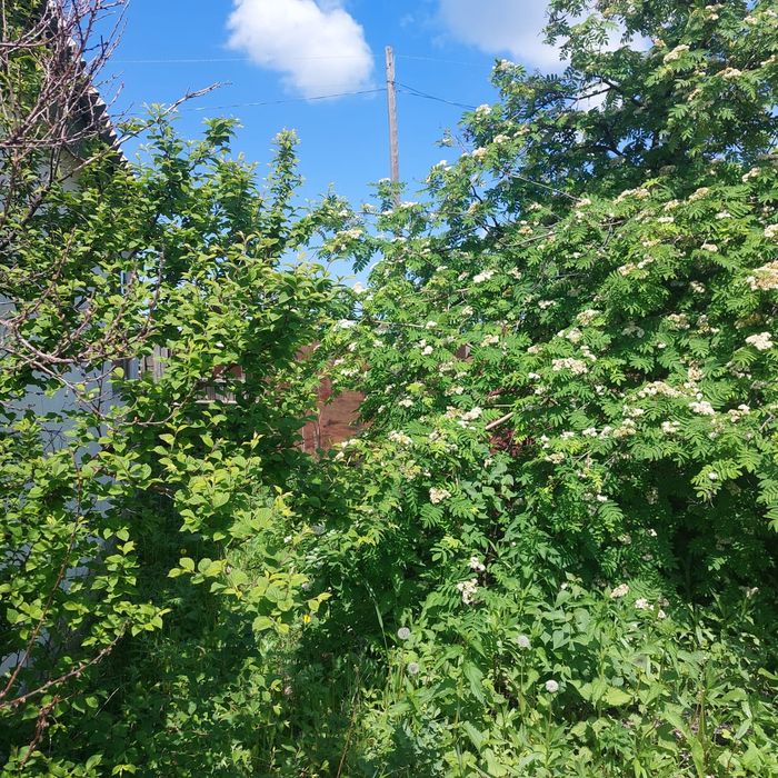 Дача по зерендинской трассе СТ "Синегорье"