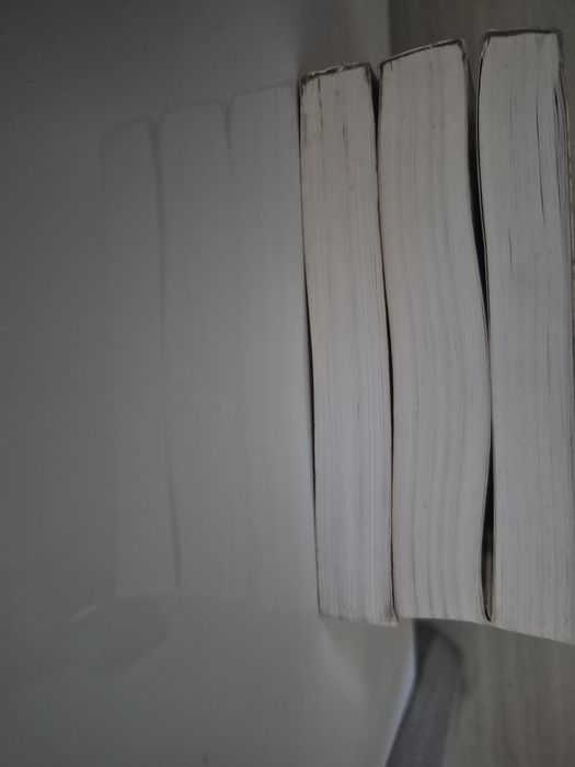 Set 3 cărţi loan Dan - Editura Lucman 2001 (Curierul secret, Cavalerii