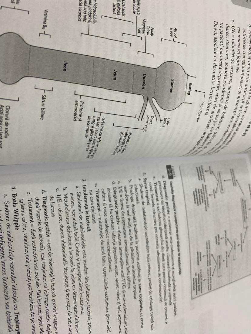 Sinopsis de medicina, ed. a 5-a ed. Latha Ganti, ed. Hipocrate 2021