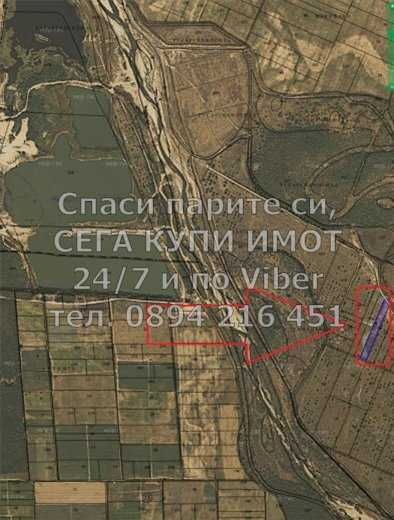Орехи 4800м2 запуснато състояние след с. Ръжево Конаре - код 61536
