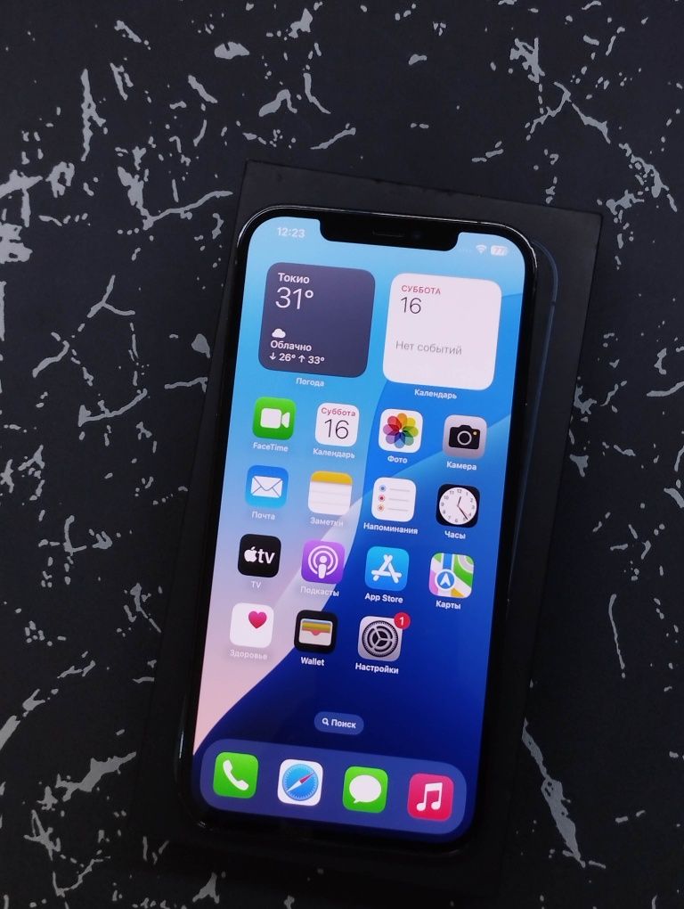 iPhone 12 Pro Max