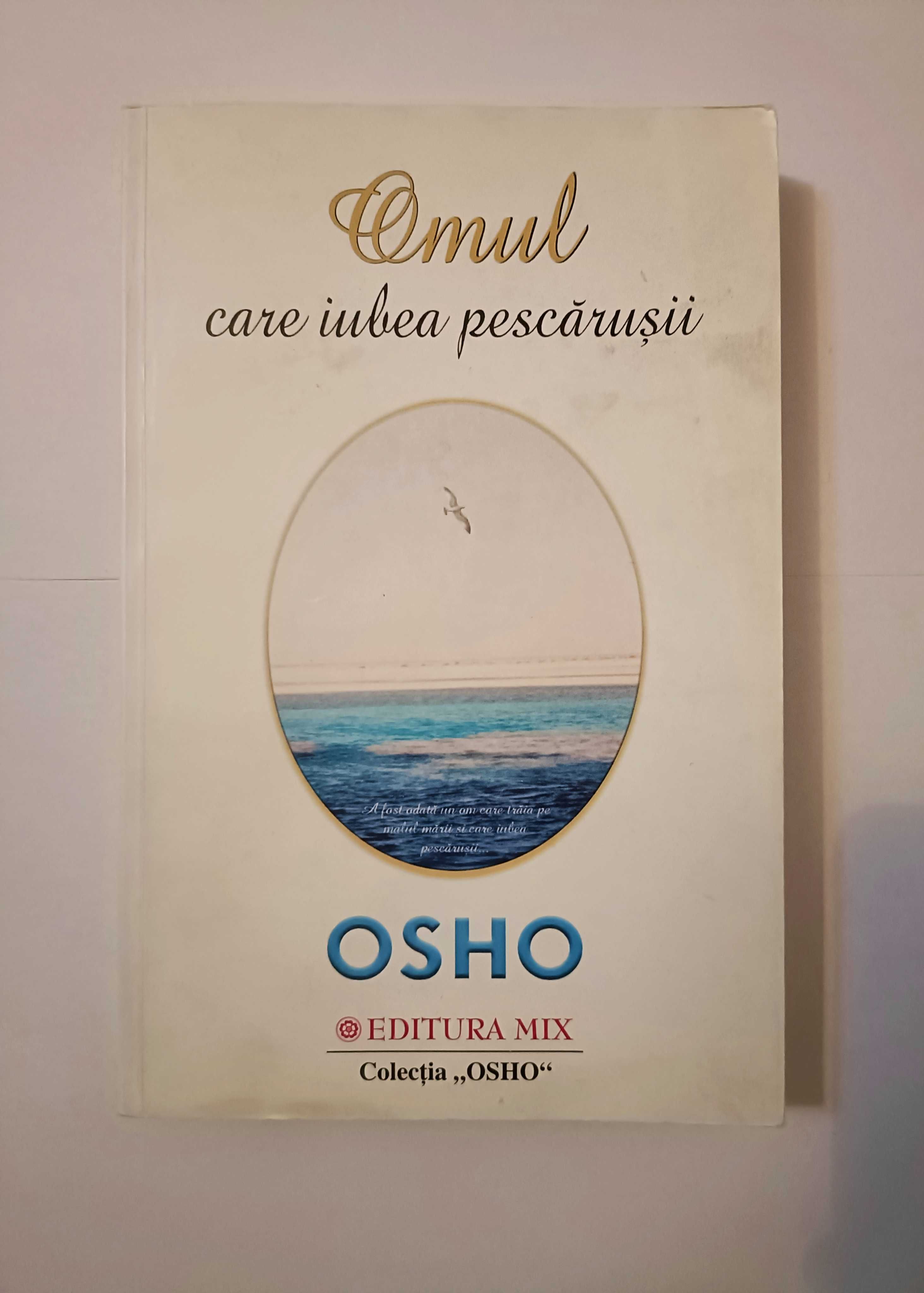 Omul care iubea pescarusii | OSHO