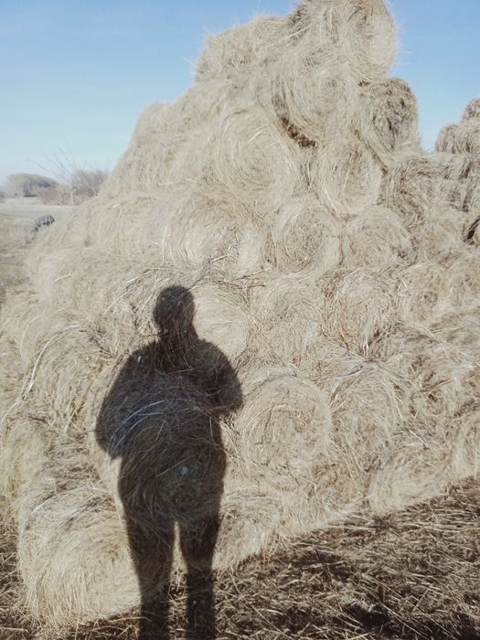 Продам мини рулоны по 20 кг