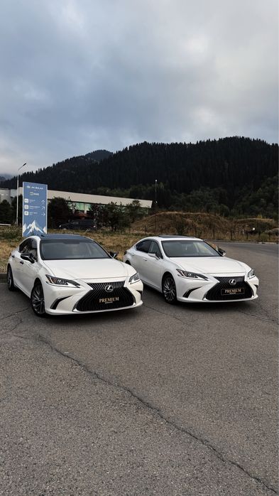 Аренда авто прокат авто посуточно