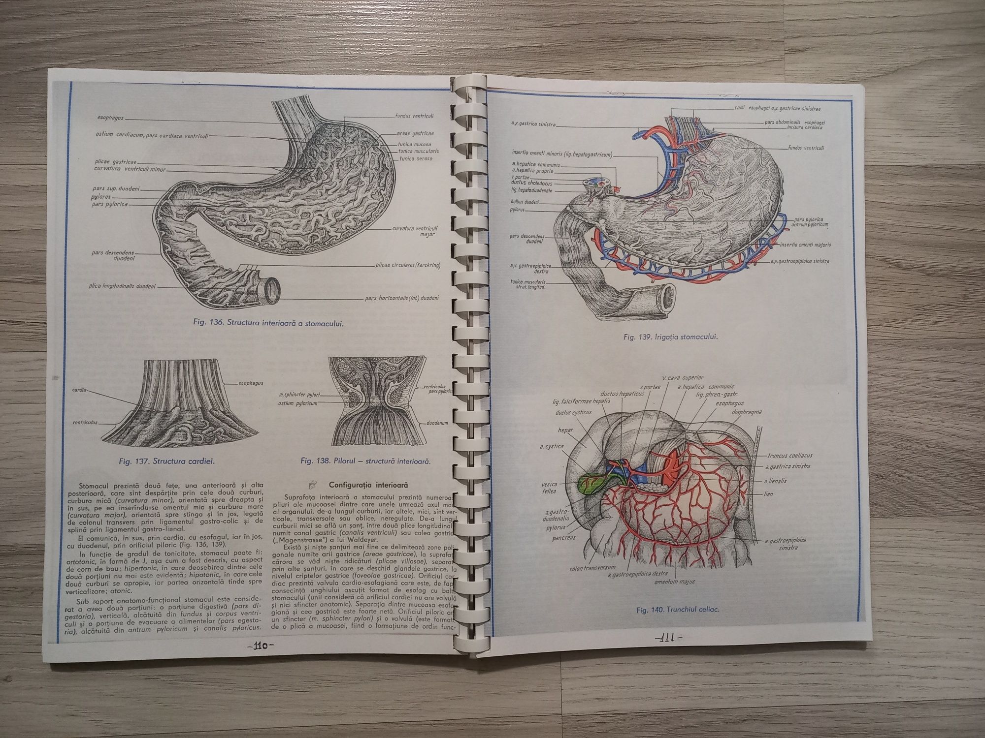 Atlas anatomie umana - vol 2