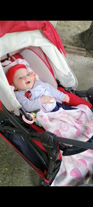 Căruț copii Inglesina cu landou, scoică și partea sport