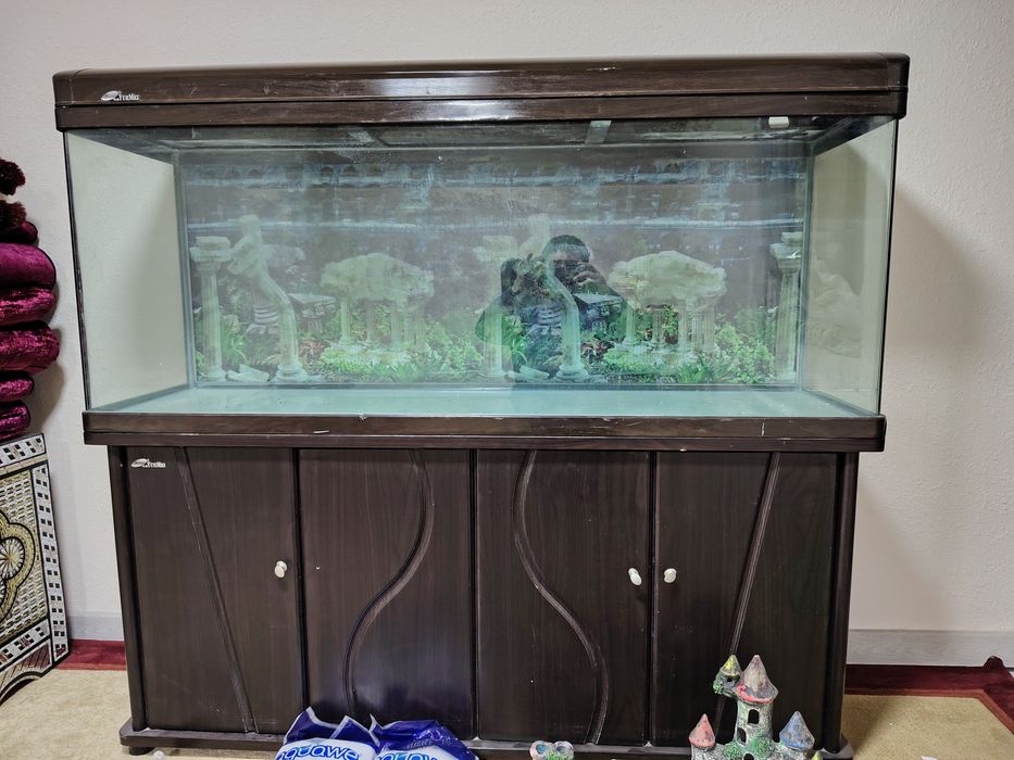 akvarium avalniy xitoy akvarium