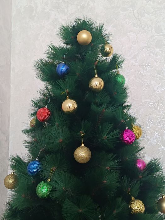 Суний ёлка 1.50м сотилади!