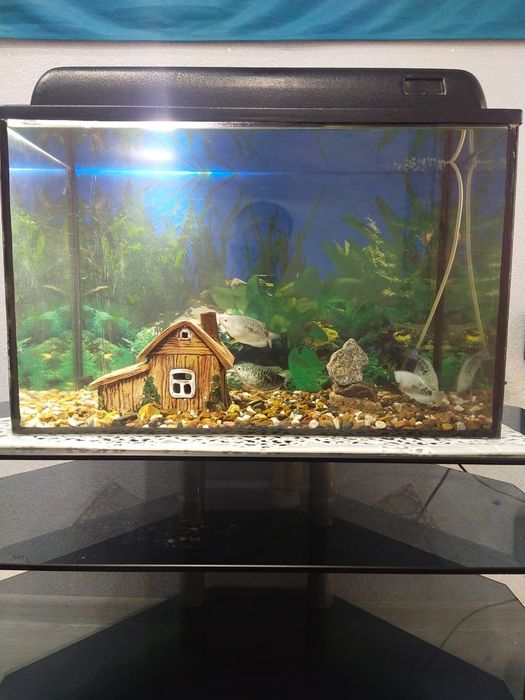 Продам аквариум с подставкой