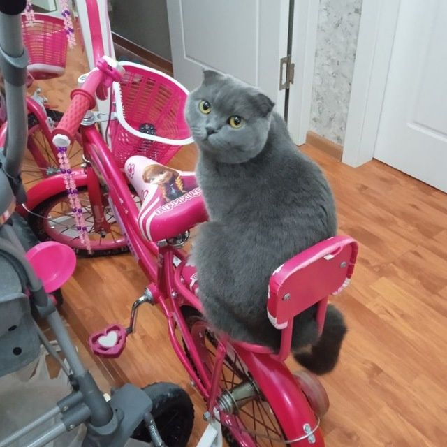 Продам кояску, велосипед, автокресло