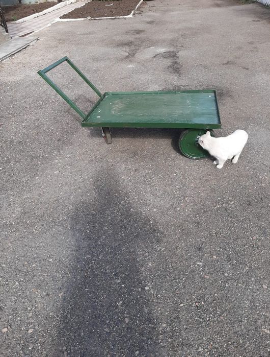 Продам тачки на колесах