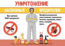 Дезинфекция клопов и тараканов уничтожение клопов dezinfeksiya klapa