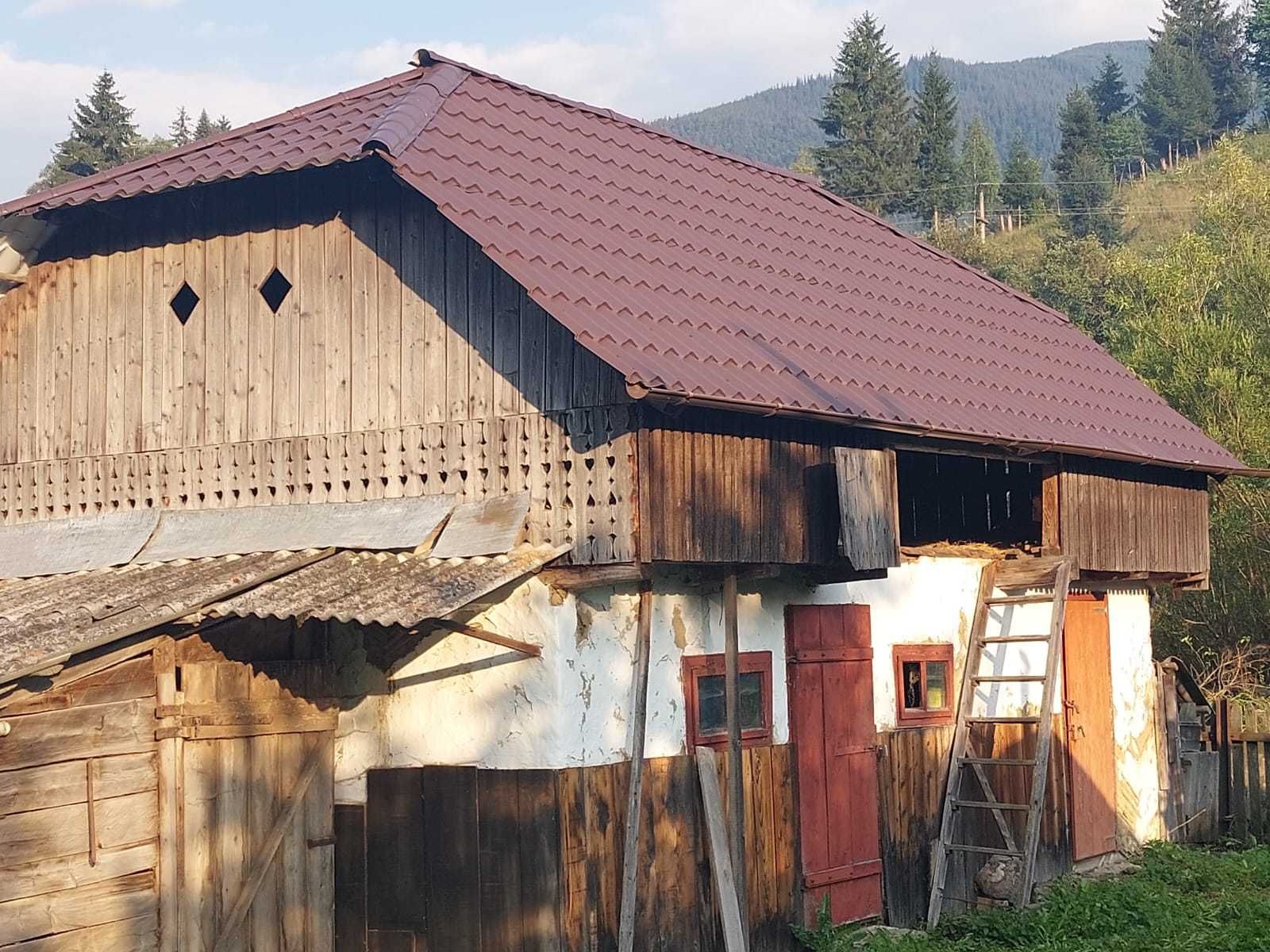 Casă Chealău/Durău (Neamt)