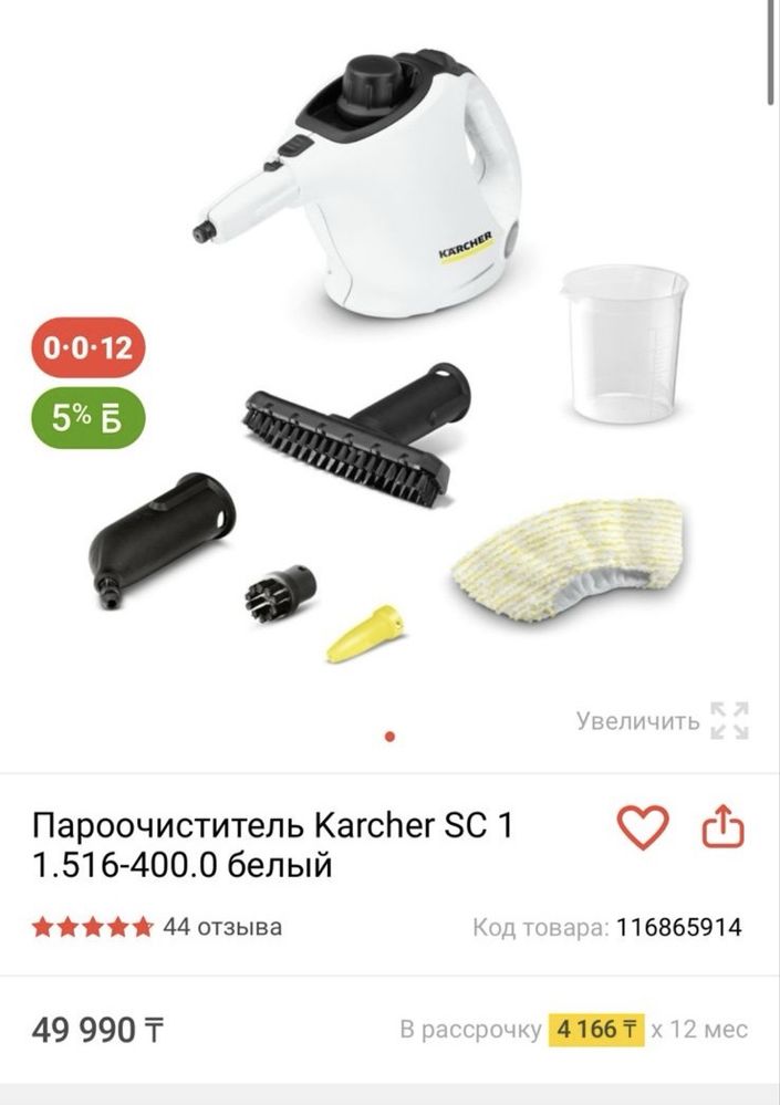 Пароочиститель Karcher