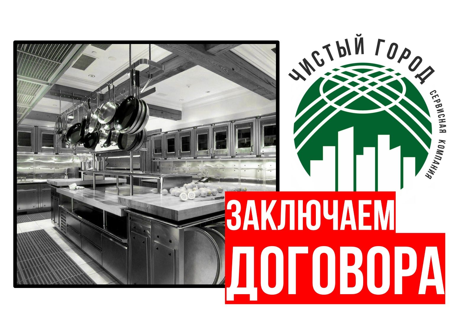 Профессиональная Дезинфекция, ДЕЗИНСЕКЦИЯ, ДЕРАТИЗАЦИЯ