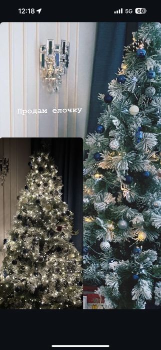 Ёлка в снегу и с шишками