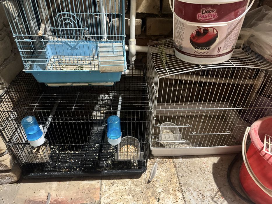 Клетки для птиц