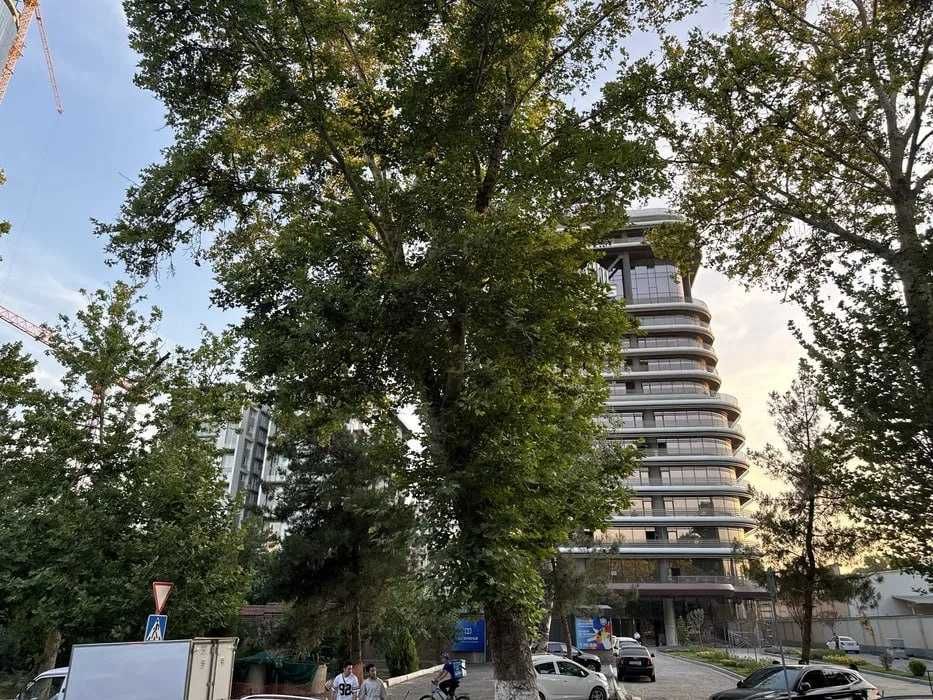 2-комнатная квартира Zarafshon City, Яккасарайский район; ул. Бобура