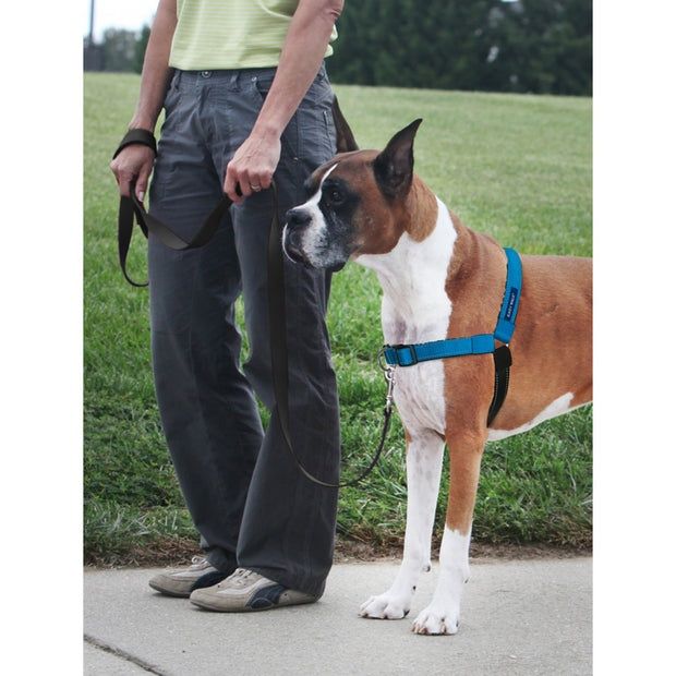 Ham pentru câini PetSafe Easy Walk, marimea L - NOU