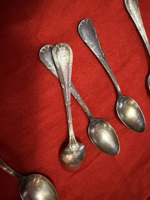 Lingurite argintate desert