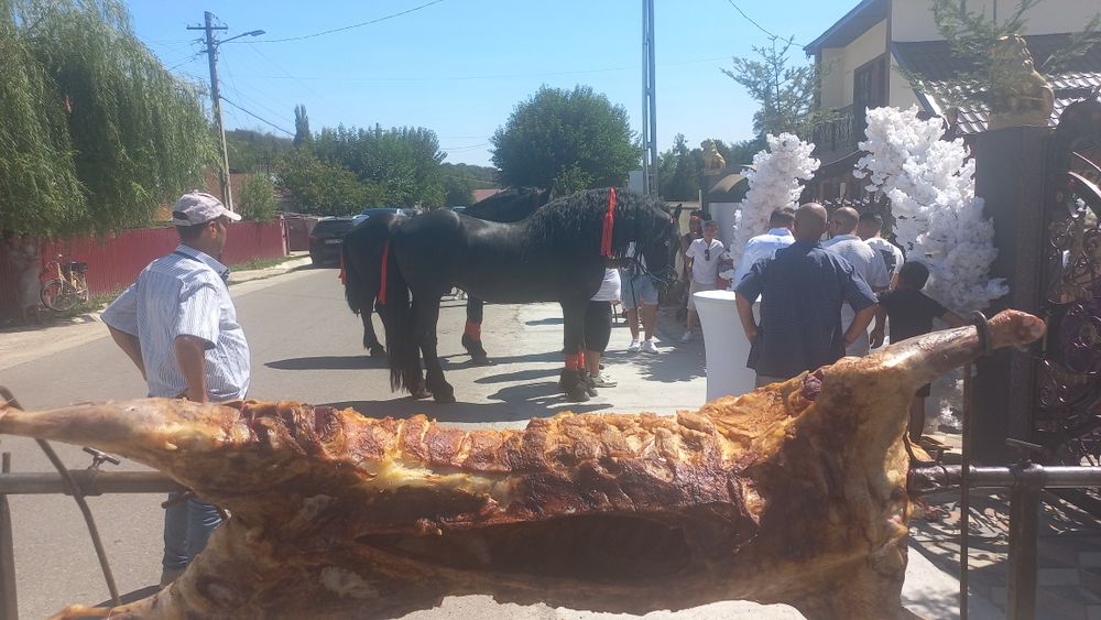 Protap,cort,ospatari,bucătari, evenimente