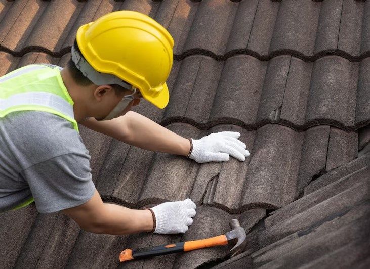 Reparații Acoperișuri Montaj Izolații Vopsire Terase Sistem Pluvial