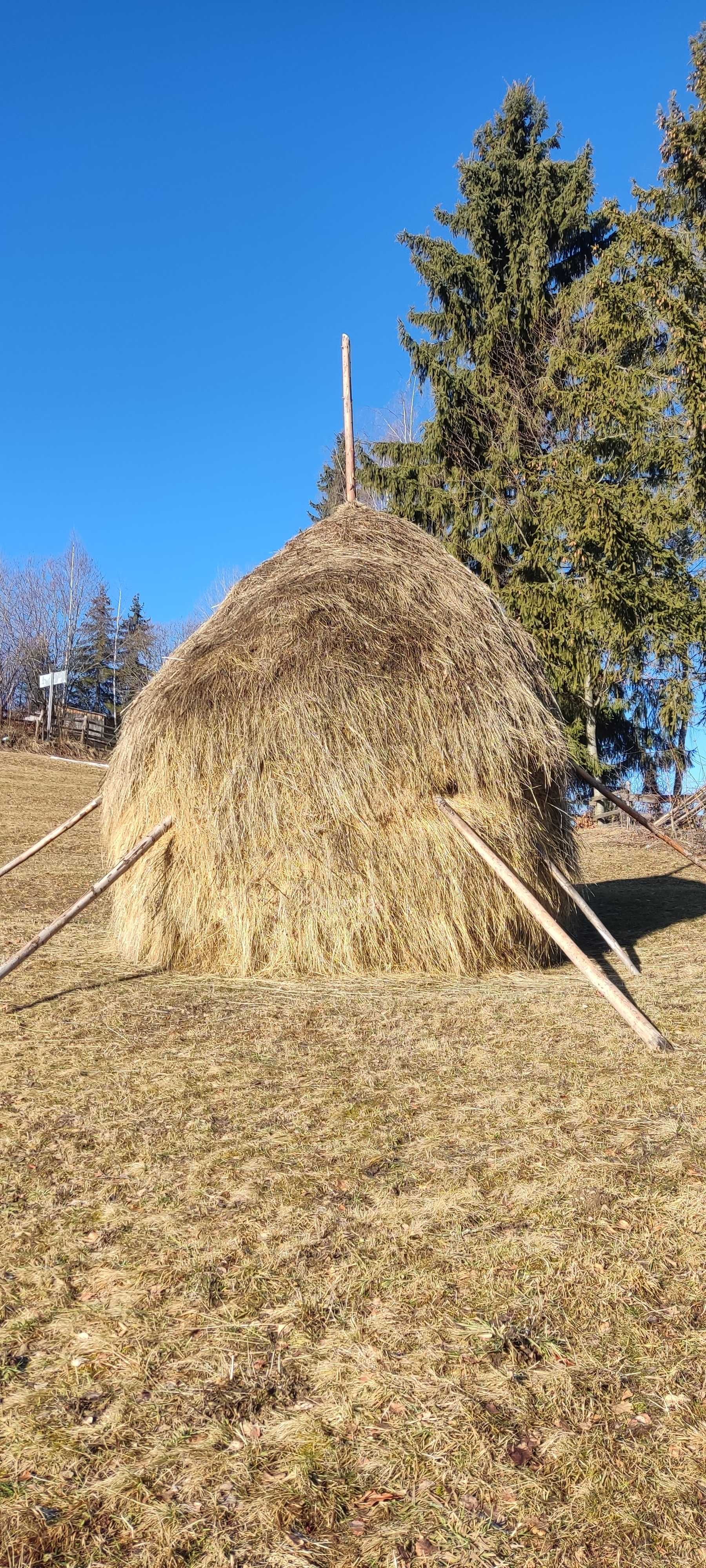 Vând fân de anul trecut