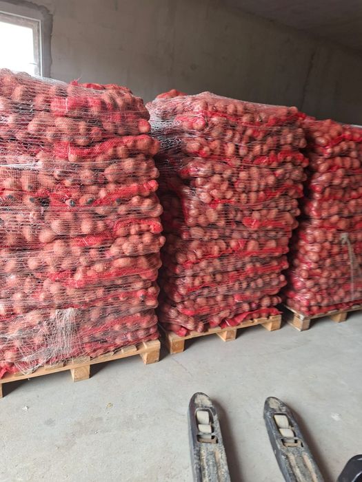 Vând Mere și Cartofi