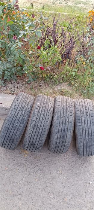 Шины барс 15/60/195