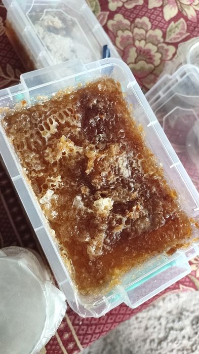 Горний мёд и прополис 
Цена за кг мёд 150тыс
Цена за кг прополис 200ты