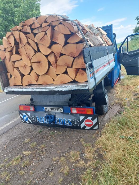Lemne de foc de fag tăiate la dimensiunea dorita transport gratuit