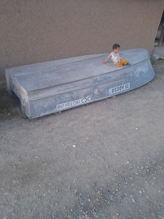Lotka mator sotiladi