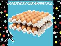 Инкубационные яйца ломан браун российские ЛБ5