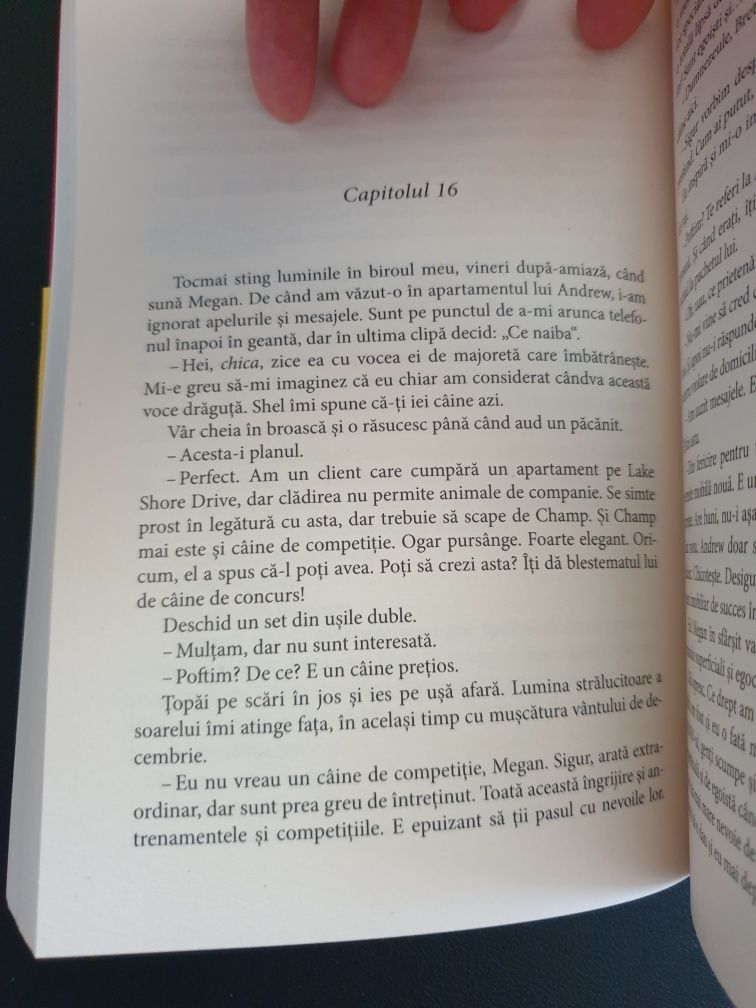 Maine e o noua zi - Lori Nelson Spielman