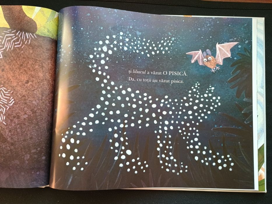 Carte copii "cu toții au văzut o pisică" explorat in imagini