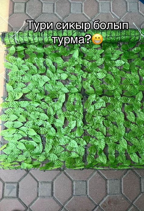 Фитостена(забор из листьев,декор ограждения,сетка листья)