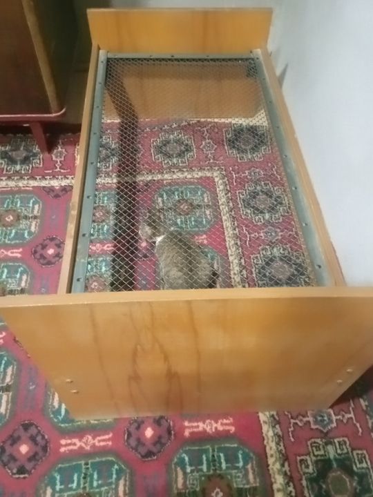 Кровать детская времен СССР