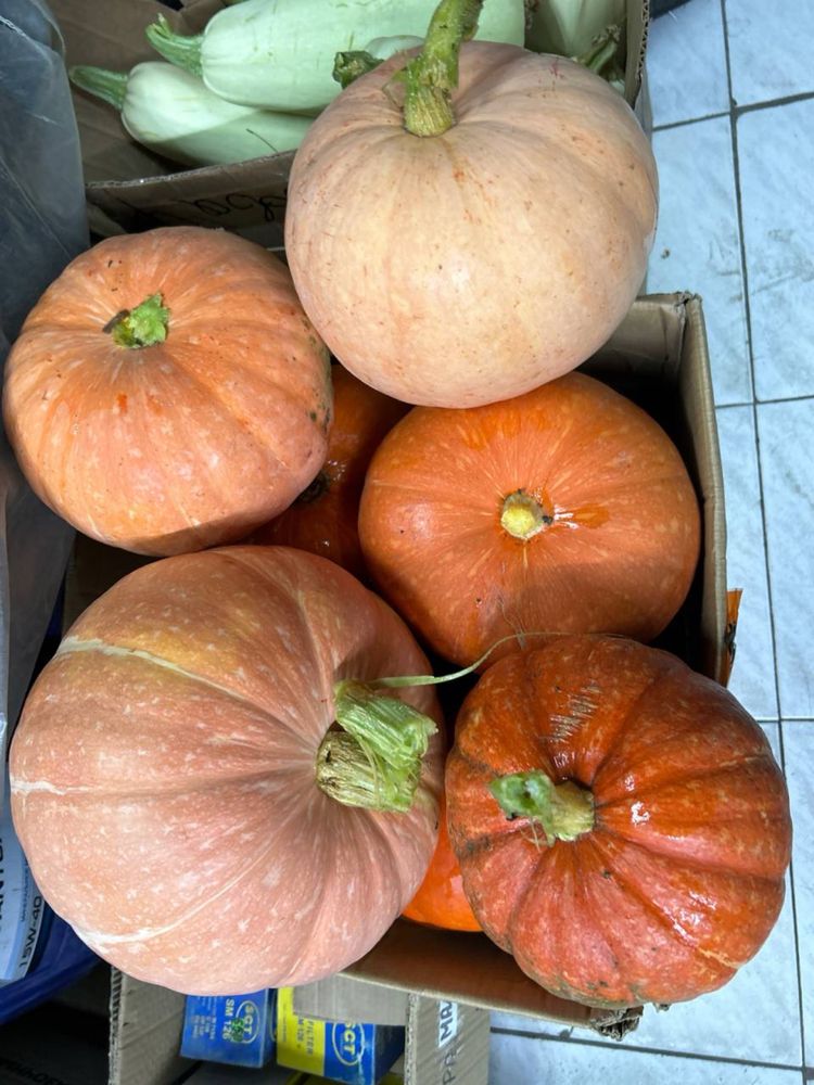 Продам домашнюю вкусную тыкву