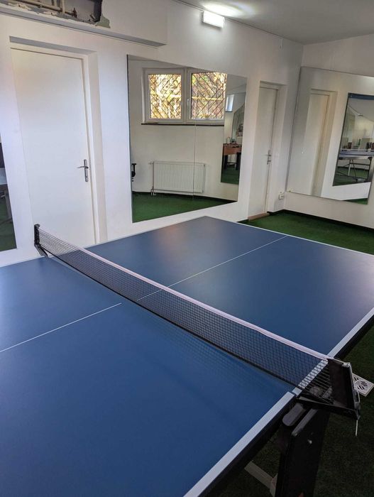 Masa Ping-Pong/prezinta un defect