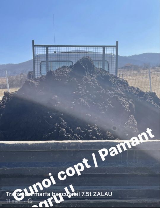 Tavalug tasare gazon / pamant gazon / gunoi ciuperci