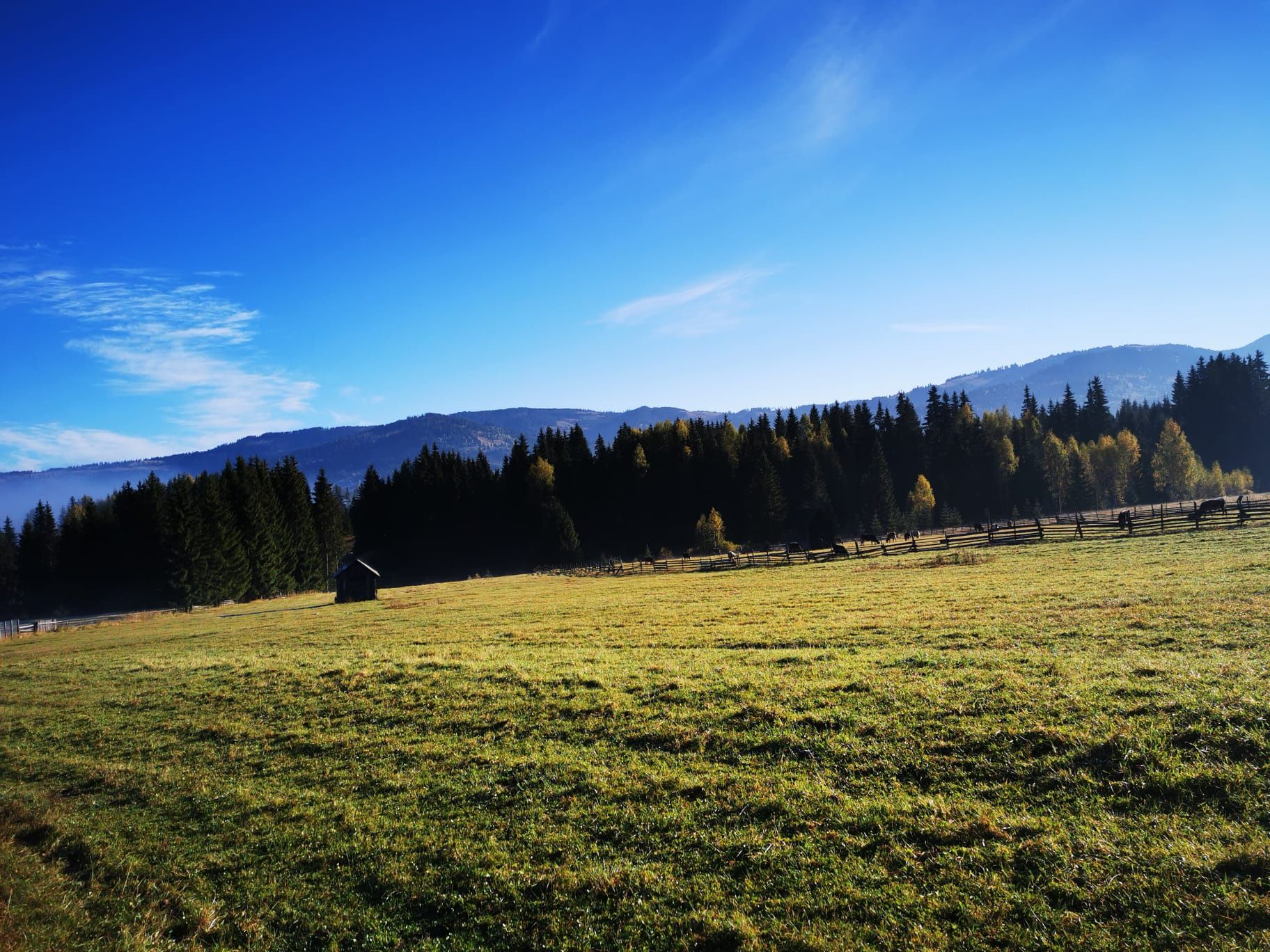 Teren Intravilan in Neagra Șarului, Saru Dornei, lângă Vatra Dornei