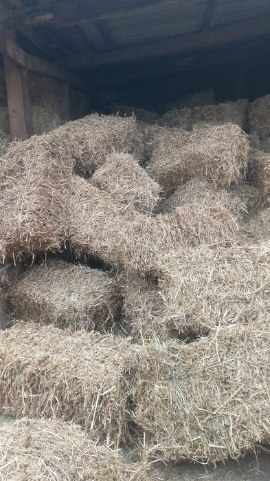 Продам соевую салому количестви 240 тюков