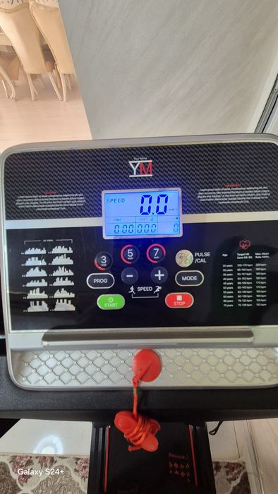 Електрическа  пътека