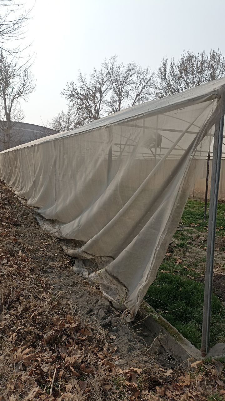 Парник теплица сотилади 40×9 m  1200 $