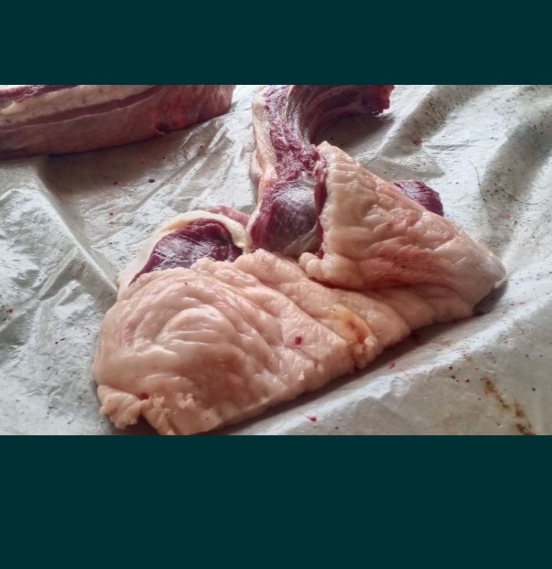 Күнделікті жылқы сойылады соғым согым мясо