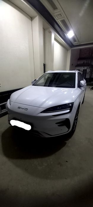 Byd song plus champion